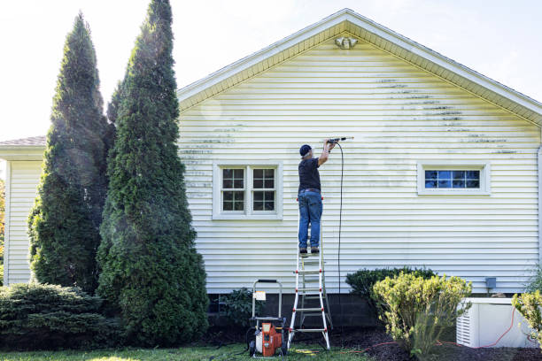Best Boat and Dock Cleaning  in St Marys, WV